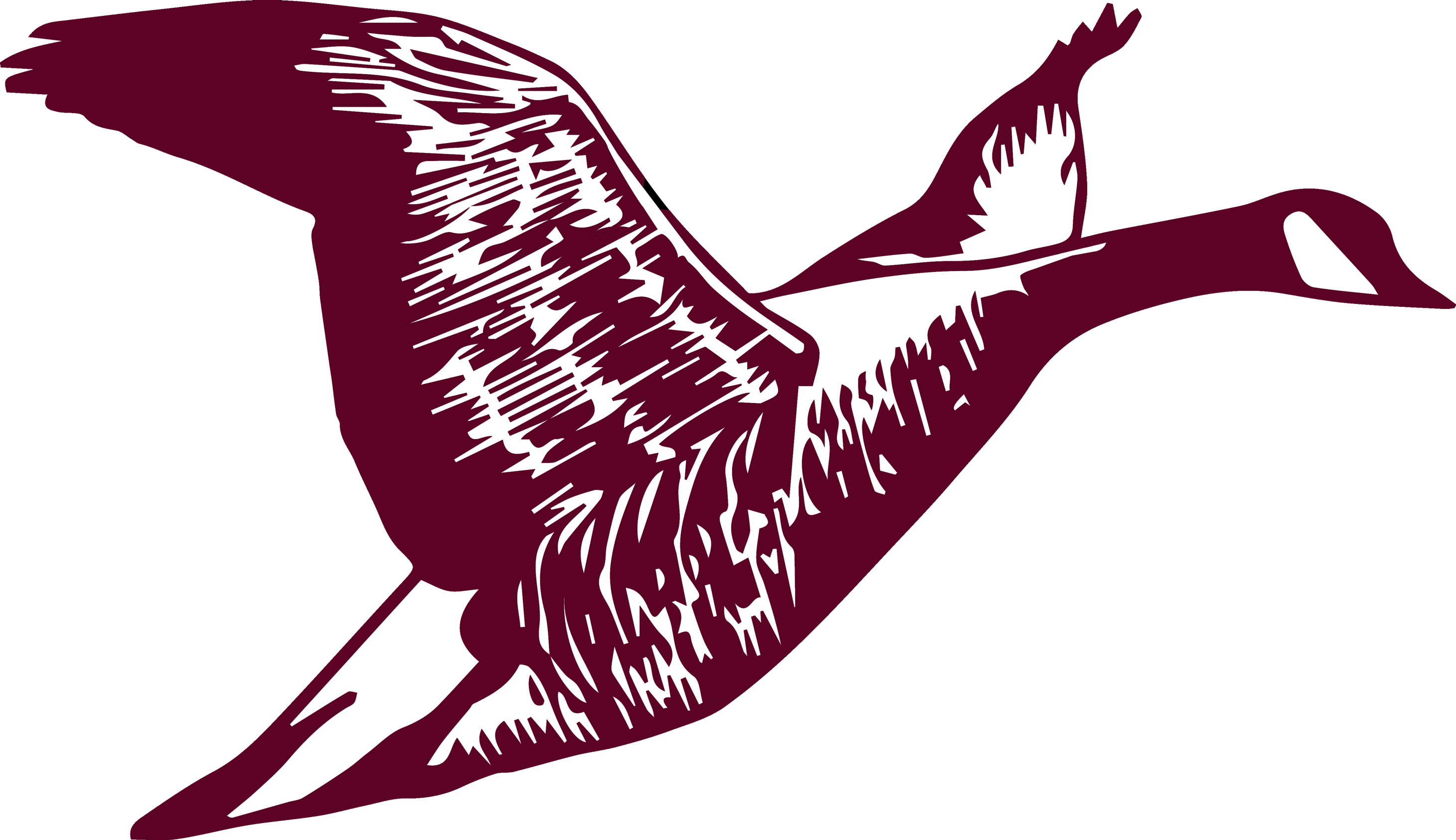 Goose Creek Consolidated Independent School District