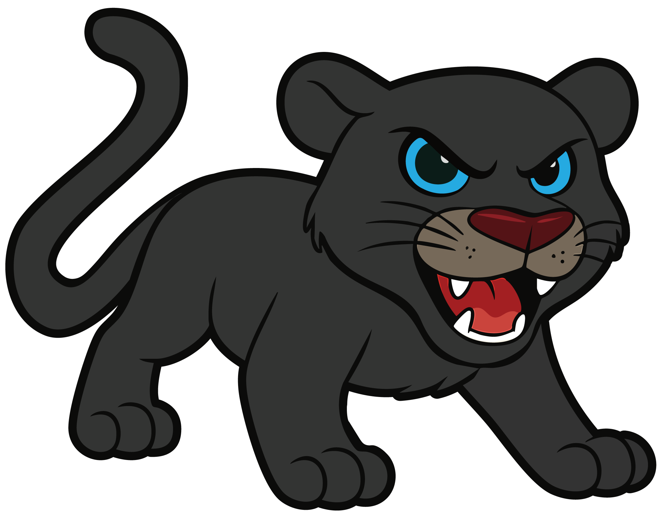 gray panther with blue eyes