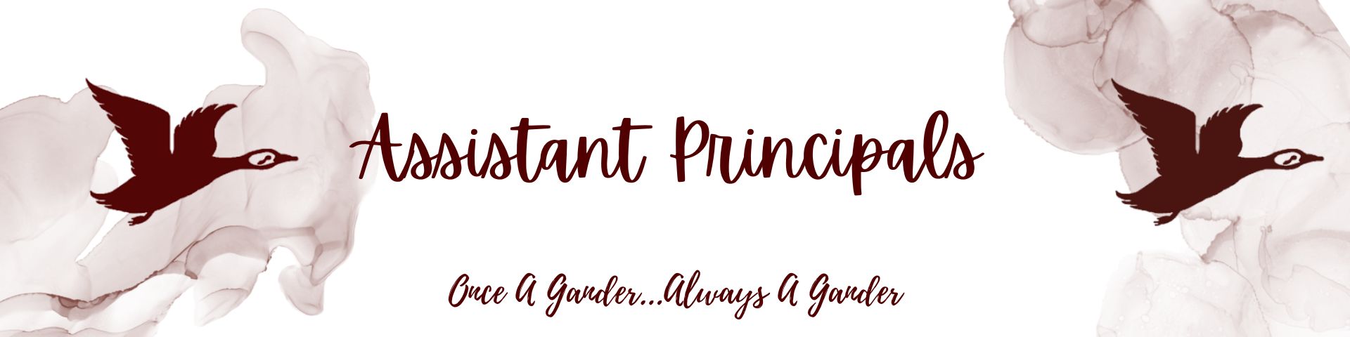 asst principals header